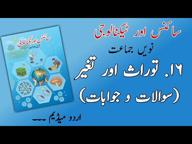 9TH  -  Science - 2 ( Chapter 16 )
